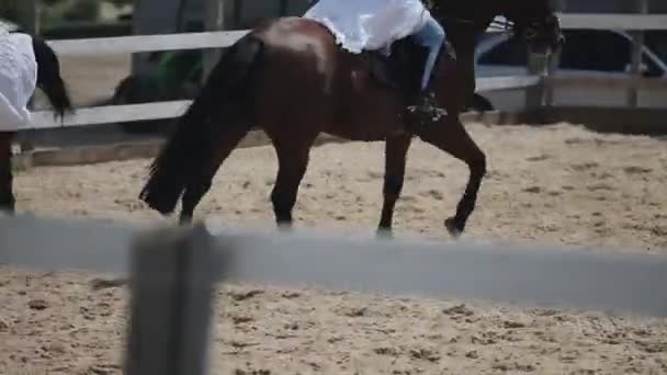 Minsk, Bielorrusia - 19 de julio de 2019: Dos jóvenes vestidas con un vestido vintage medieval blanco con un corsé y coronas en la cabeza montan a caballo — Vídeo de stock