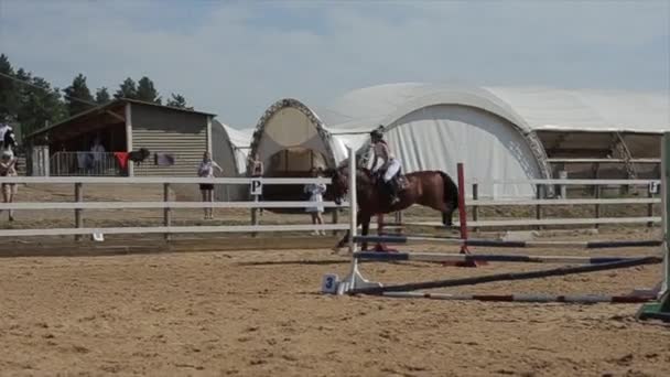 Minsk, Biélorussie - 19 juillet 2019 : Gros plan d'un cheval avec une fille jockey en selle sautant par-dessus une barrière lors de compétitions équestres. Mouvement lent — Video