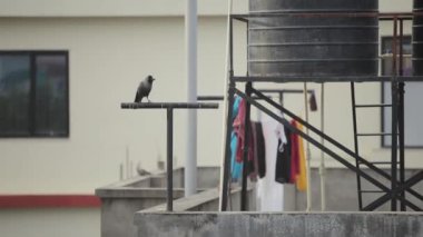 Tipik bir Nepal hanesi. Duş suyu fıçısıyla balkon..