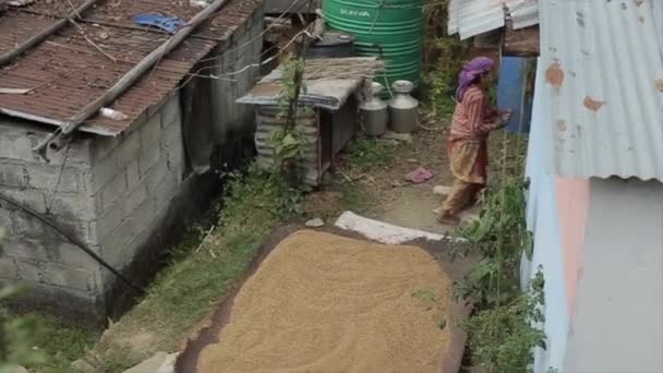 Katmandú, Nepal - 25 de noviembre de 2019: Una visión de los hogares pobres nepaleses, choza. Una vieja nepalí en el patio trasero. Granos de arroz que se secan afuera . — Vídeo de stock