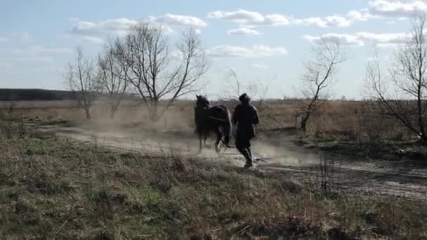 En bonde följer en häst med en plog längs en dammig väg mot ett landsbygdslandskap. Ryska byn. Bakifrån — Stockvideo