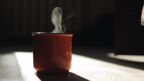 Primer plano de una taza humeante de té caliente de pie en el suelo de una habitación y un perro salchicha caminando por — Vídeos de Stock