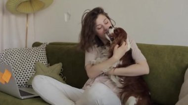Neşeli, genç, serbest çalışan bir bayan, çevrimiçi bir işçiye ara verirken dizüstü bilgisayarın yanındaki koltukta oturup küçük köpeğini kucaklıyor. Yakın plan.