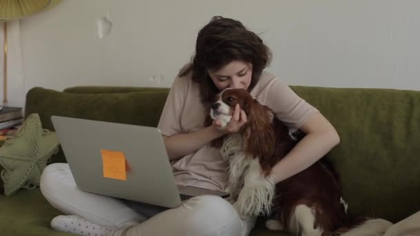 Jovem freelancer menina se comunica com alguém em um laptop enquanto sentado em um sofá em um quarto e abraçando amado um pequeno cão. Close-up — Vídeo de Stock