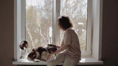 Genç bir kız güneşli bir günde pencere eşiğinde otururken köpeğiyle bir spanyel oynar. Yakın plan. Yan görünüm