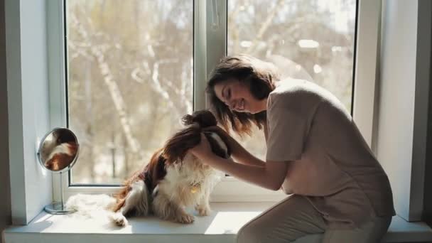 Une jeune fille assise sur le rebord d'une fenêtre dans une pièce embrasse son chien Cavalier King Charles Spaniel. Gros plan — Video