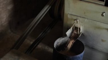 Basit bir Nepal pirinç makinesi tahıl işliyor. Tahıl dolu bir kova..