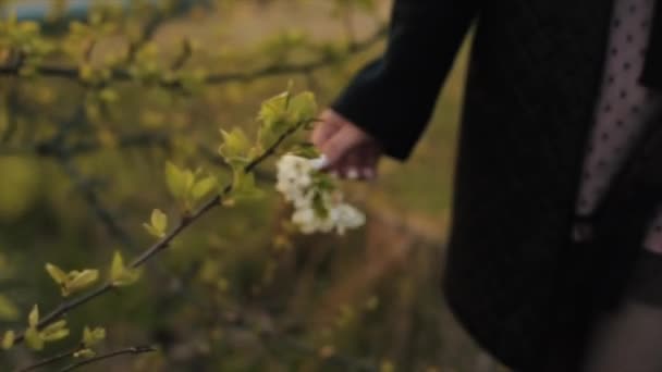 Una joven gira en su mano una ramita con las flores de un manzano que arrancó mientras caminaba en un jardín floreciente durante el día de primavera. Primer plano de la mano — Vídeo de stock