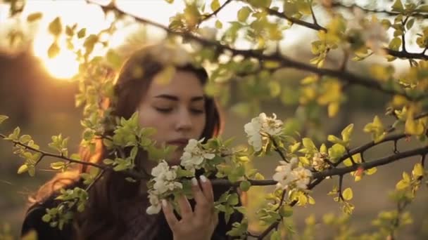 Uma bela jovem caminhando pelo jardim se inclina para os ramos das árvores floridas e fechando os olhos desfruta do aroma das flores. Close-up. Movimento lento — Vídeo de Stock