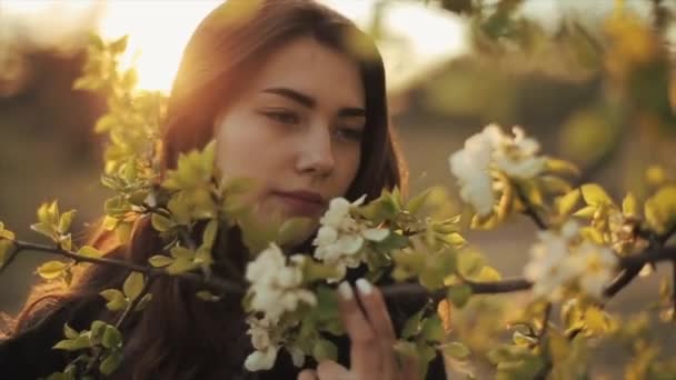 Uma menina bonita caminha no jardim da mola contra o pano de fundo do pôr-do-sol fareja flores e aprecia o aroma com os olhos fechados. Close-up — Vídeo de Stock