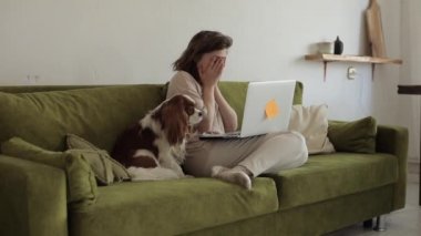 Yorgun bir kadın serbest yazar, köpeğinin yanında rahatsız bir pozisyonda kanepede otururken dizüstü bilgisayarla çalıştıktan sonra gözlerini ve boynunu ovuşturur. Yakın plan.