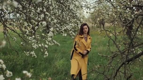 Romantisch jong meisje loopt een tuin tussen de bloeiende bomen. Voorjaarsstemming. Het meisje gaat op camera. Langzame beweging — Stockvideo