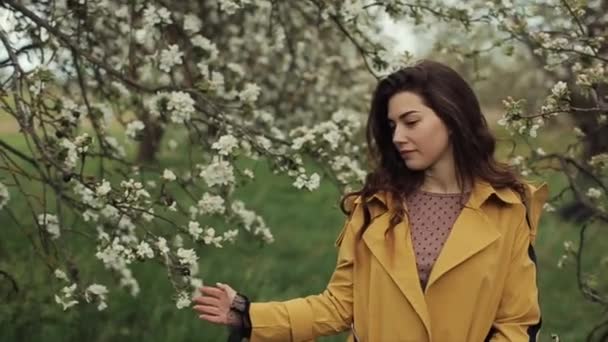Smyslná atraktivní mladá dívka kráčí v kvetoucí jarní zahradě a jemně se dotýká květin na větvích. Detailní záběr. Zpomalení — Stock video