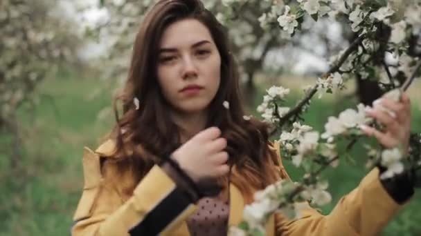 Close-up van een jong charmant meisje in mooie kleren tussen de takken van bloeiende appelbomen. Voorjaarsgevoeligheid. Langzame beweging — Stockvideo