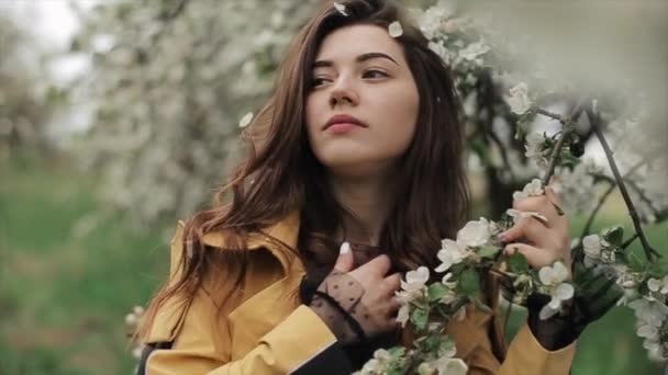 एक युवा कामुक लड़की एक फूलदार वसंत उद्यान की पृष्ठभूमि में खड़ा है। फूलों की पंखुड़ियों को पेड़ों से लड़की पर बरसाया जाता है। धीमी गति — स्टॉक वीडियो