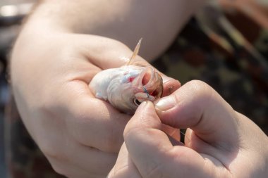 Balıkçının elinde küçük bir nehir.