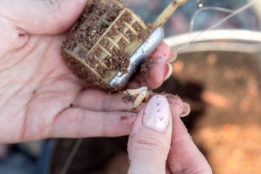 Balıkçılık yöntemi besleyici