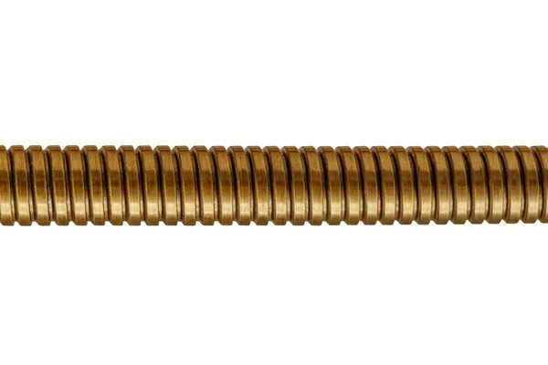 Makro prysznic wąż brązowy wyposażony — Zdjęcie stockowe