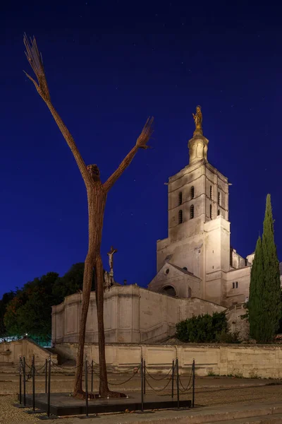 Avignon Papstpalast in der Nacht. Rundumblick — Stockfoto