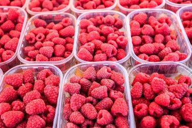 kutulara Kırmızı Ahududu