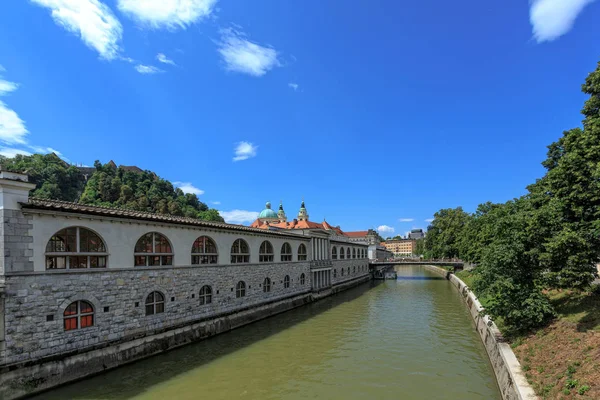 Historische Flussquelle der Stadt Ljubljana — Stockfoto