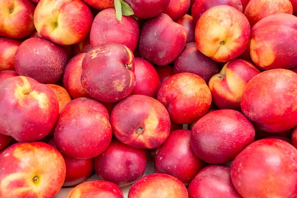Nectarines in the market — Stock Photo, Image
