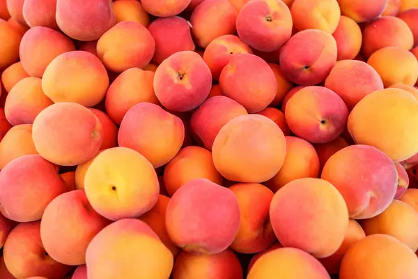 Aprikoser på marknaden — Stockfoto