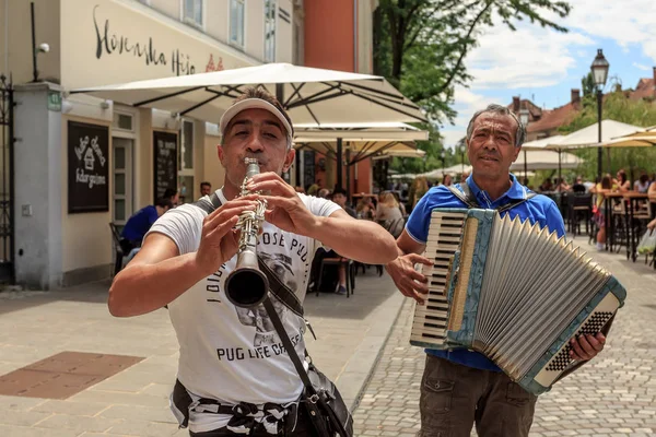 Straßenmusiker im Zentrum von Ljubljana — Stockfoto