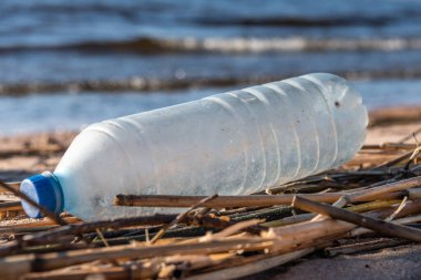 Plajda boş plastik su şişesi