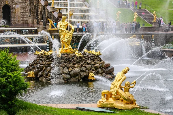 Peterhof San Petersburg Rusia Junio 2011 Gran Peterhof Palacio Fuentes Imagen De Stock