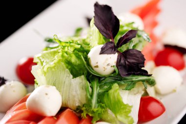 Domates ve mozzarella salatası yemek karışımı
