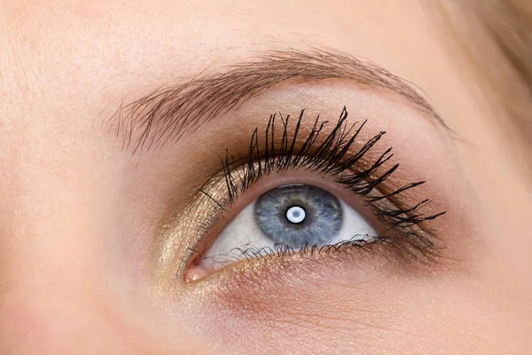 Ženské oko s dlouhé řasy — Stock fotografie