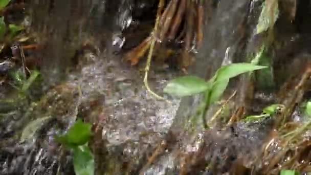 Řeka tok proudu vody s malým trhlina přes kamenné police ve večerních hodinách — Stock video