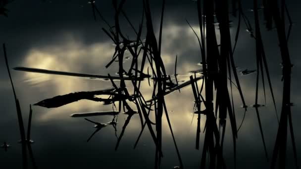 Поверхность воды с рябью и отражением неба на закате — стоковое видео