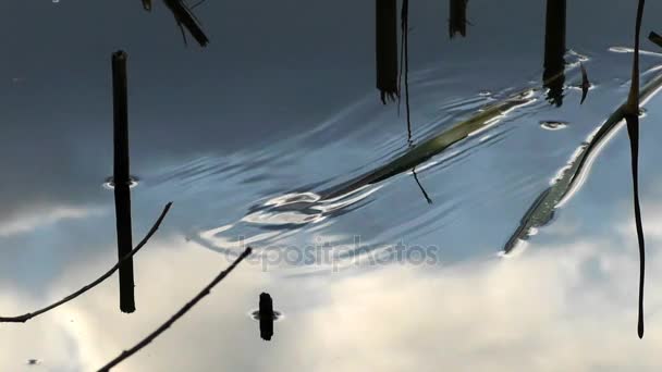 Vattenytan med ringar och blå himmel med moln reflektioner — Stockvideo