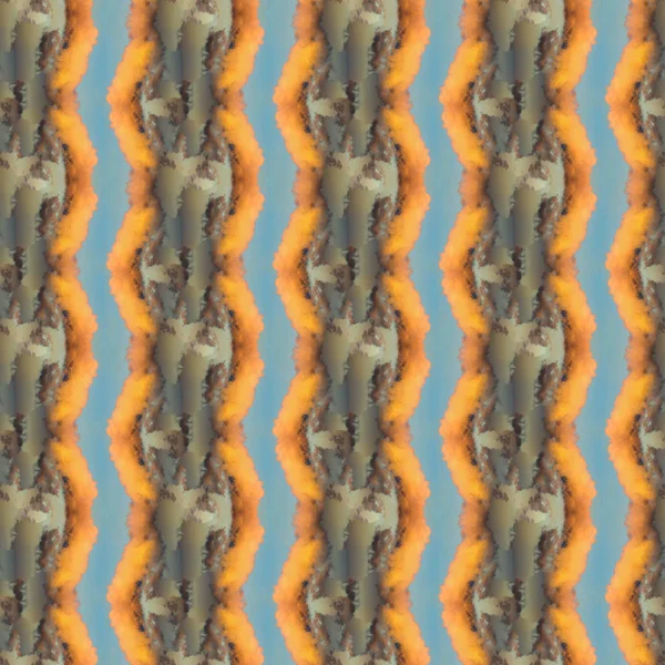 정밀 한 거무스름 한 무늬 — 스톡 사진