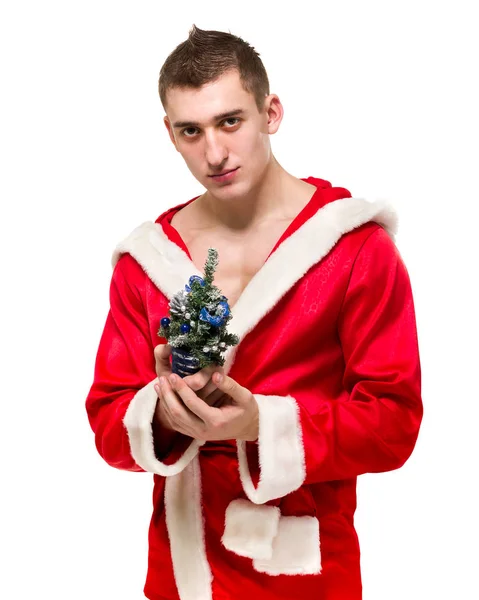 Portrait of macho man in santa costume small Christmas tree isolated over white — Stock Photo, Image