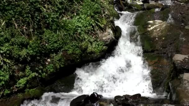 Waterval in de bergen — Stockvideo