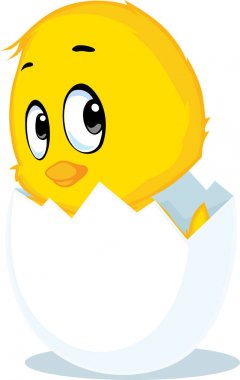 tavuk yumurta kabuğu - vektör çizim tarihi