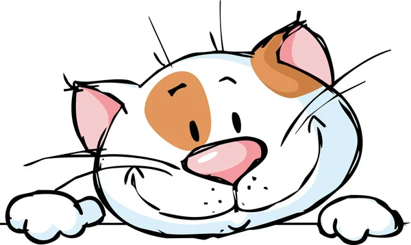 Śmieszne kot kreskówka wgląd - ilustracja wektorowa — Wektor stockowy