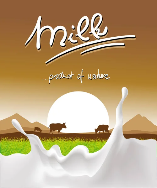 Дизайн молока с брызгами молока, коровой и закатом - векторная иллюстрация — стоковый вектор