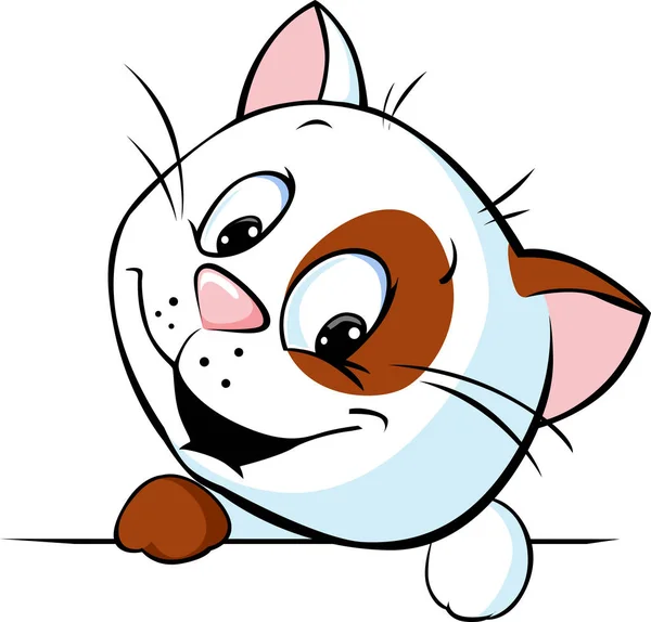 Lindo gato dibujos animados espiando - vector de ilustración — Archivo Imágenes Vectoriales
