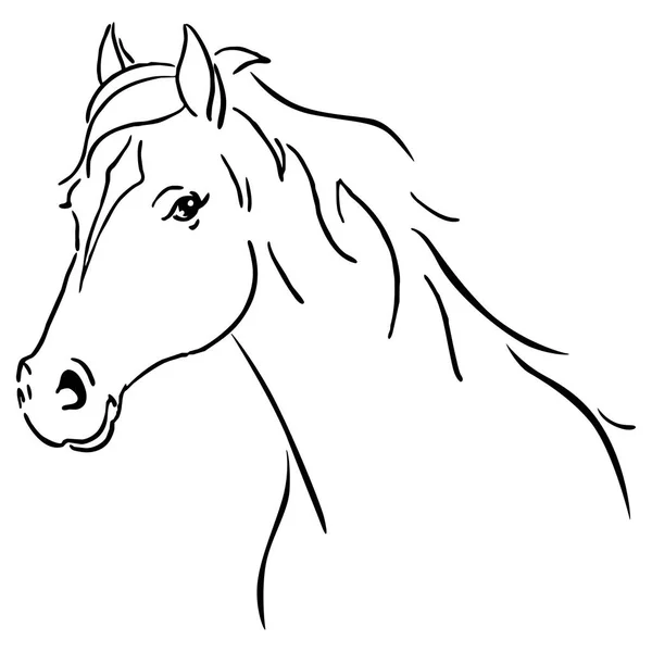 Illustration vectorielle de croquis de cheval en ligne noire — Image vectorielle