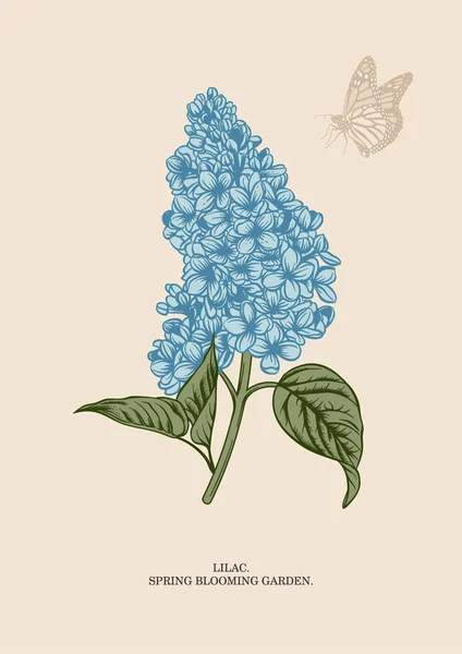 Lilac Branch Floral Background Vector Illustration — ストックベクタ