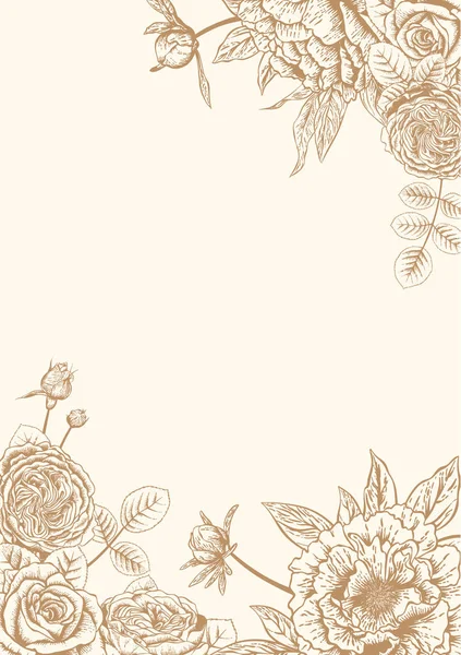 Peonies Roses Wedding Card Vector Illustration — Stock Vector