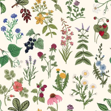 Yabani otlarla kusursuz desen. Vektör illüstrasyonu.