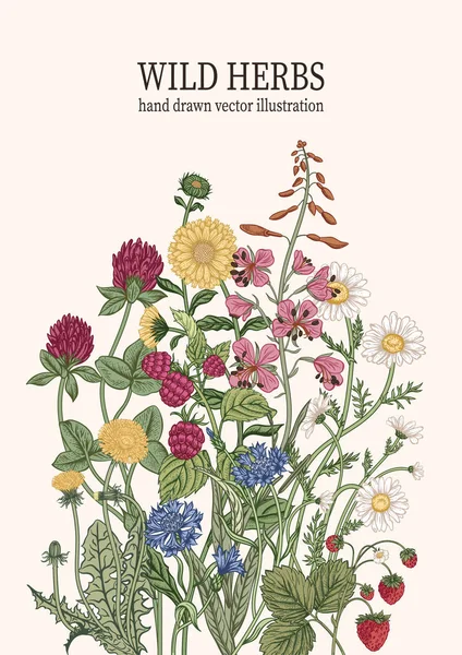 Flores Silvestres Hierbas Ilustración Vectorial — Vector de stock