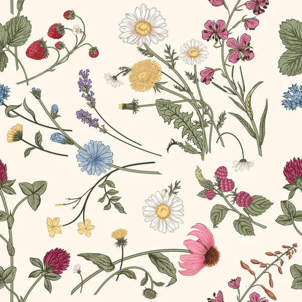 Seamless Pattern Wild Herbs Vector Illustration — 스톡 벡터