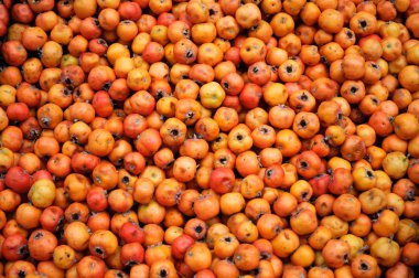 İstanbul 'daki sokak pazarında portakal renkli Hawthorn meyvesi.