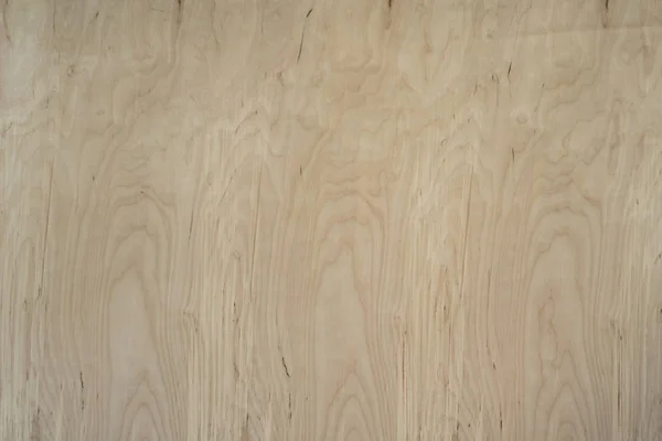 The texture of the sheet of plywood. — Stock Photo, Image